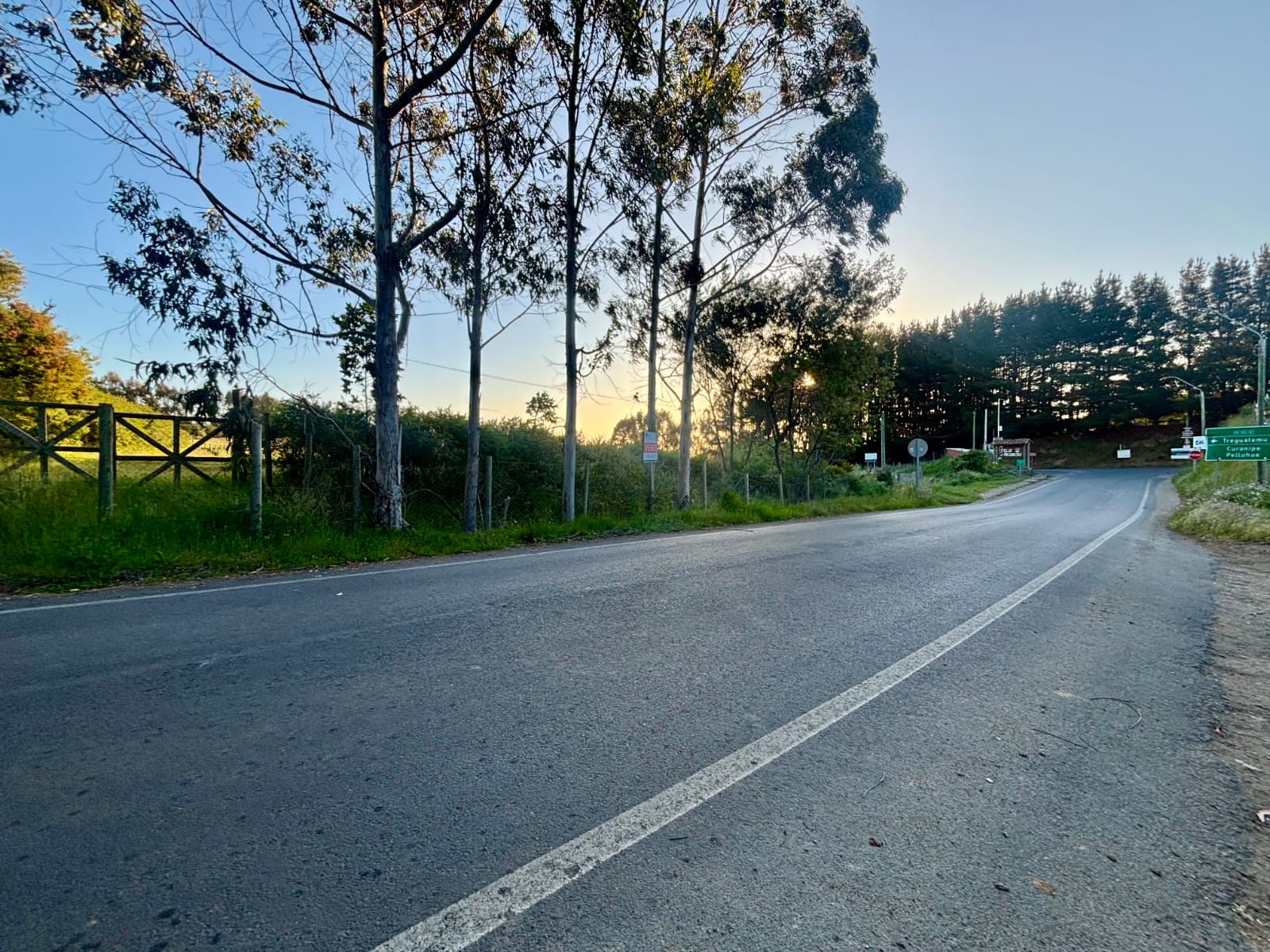 WhatsApp Image 2026-02-11 at 12.09.11 (1)