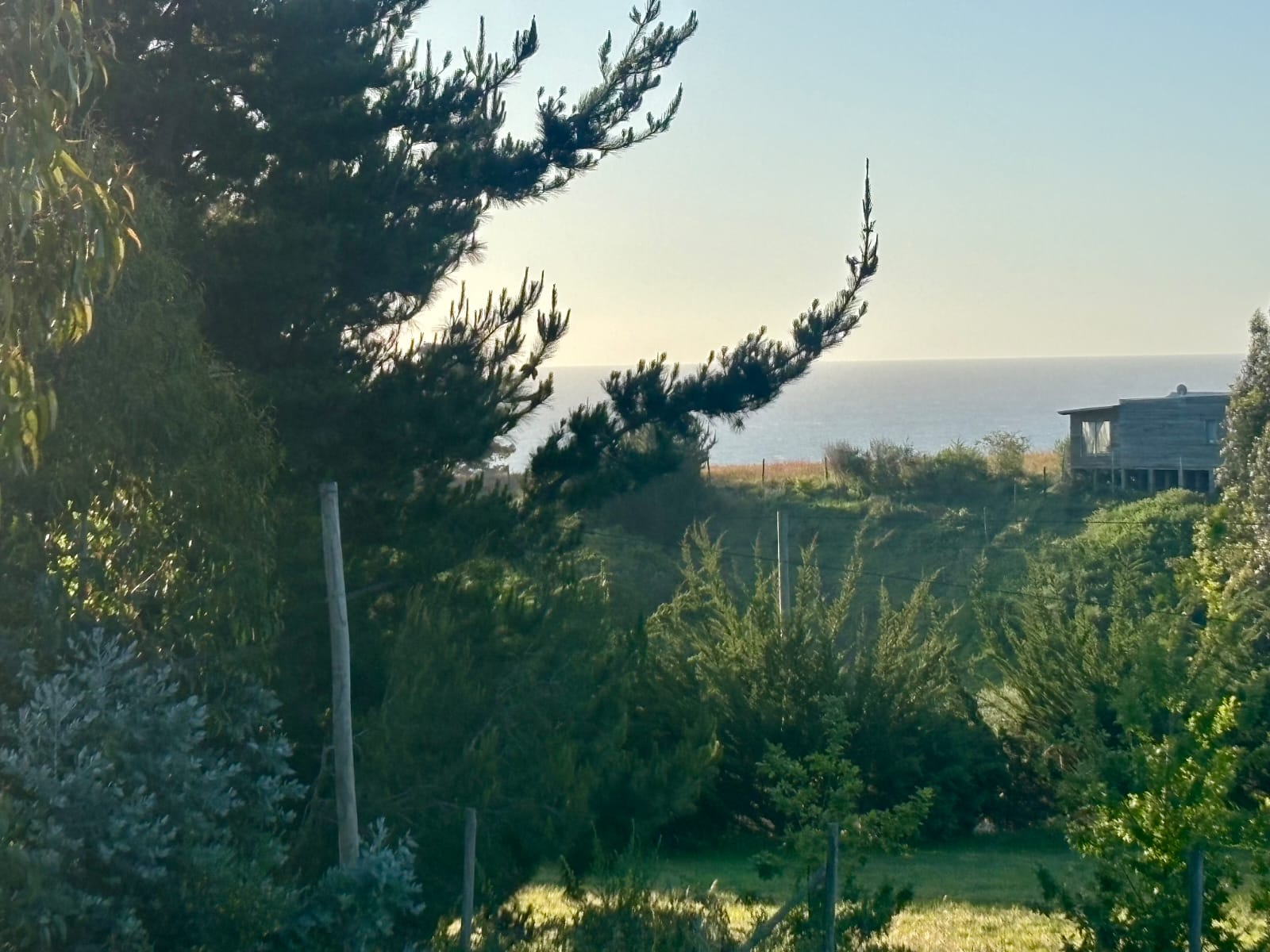 WhatsApp Image 2026-02-11 at 12.09.11 (10)