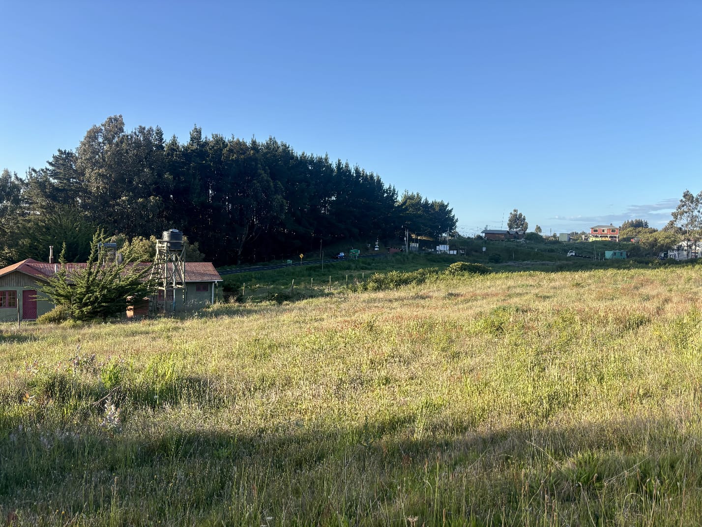 WhatsApp Image 2026-02-11 at 12.09.11 (12)