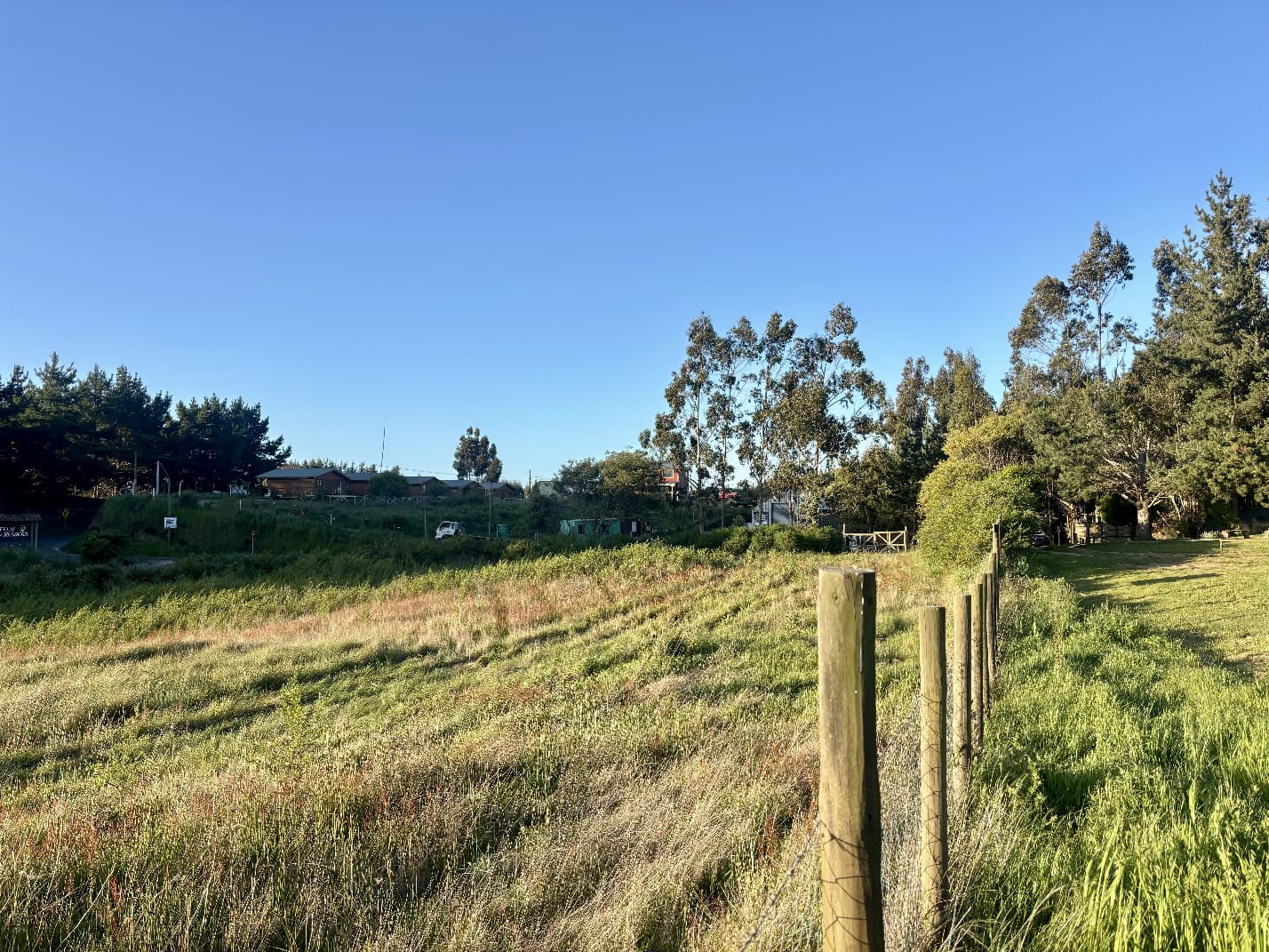 WhatsApp Image 2026-02-11 at 12.09.11 (6)