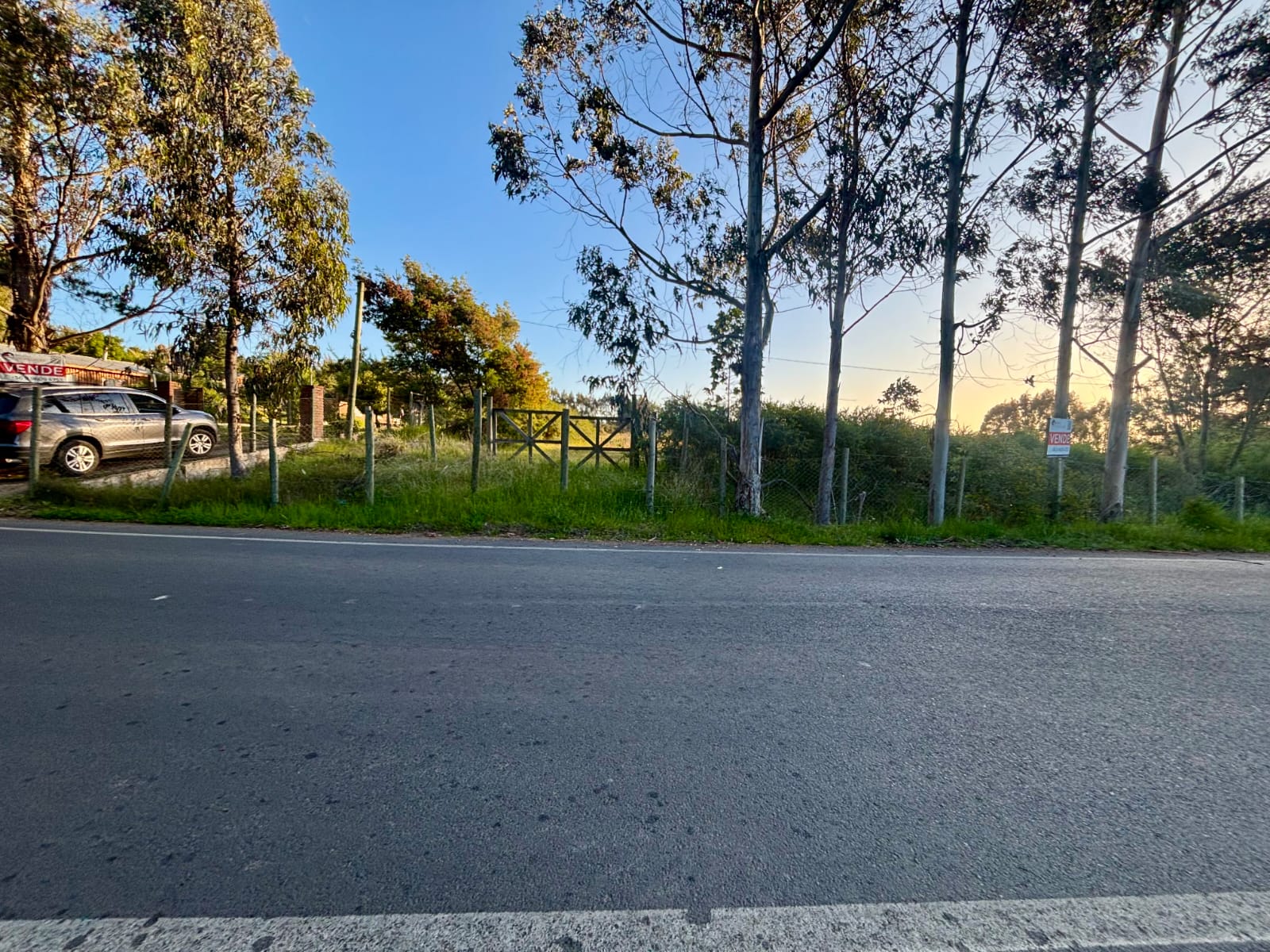 WhatsApp Image 2026-02-11 at 12.09.11