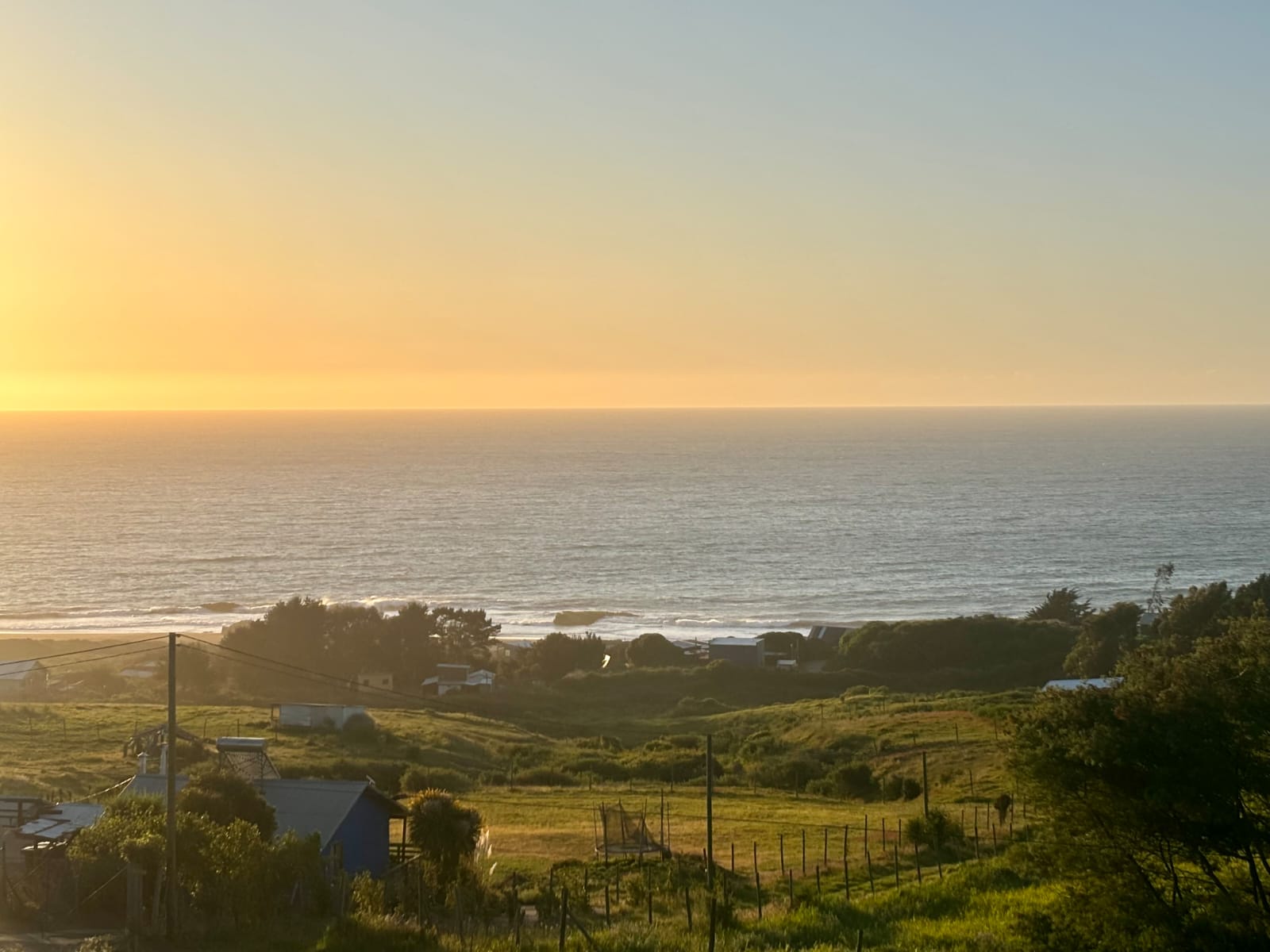 WhatsApp Image 2026-02-11 at 13.12.25